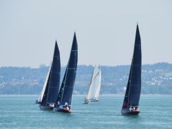 Gal 26 3 Regatta Bregenz (3)